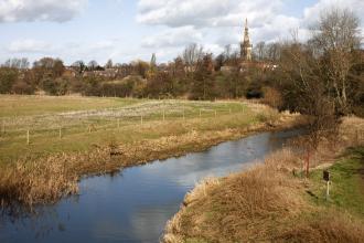 Kingsthorpe Meadow
