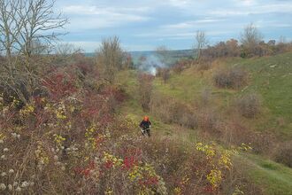 Beds brushcut