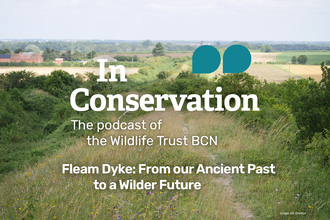 In Conservation, the podcast of the Wildlife Trust for Beds, Cambs and Northants.