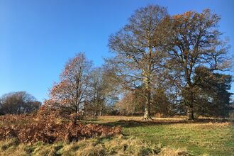 Rushmere Country Park