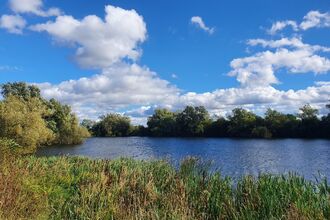 A view of a body of water lined with trees