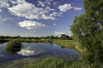 View of wetland habitat, Woodwalton Fen NNR, Cambridgeshire, UK