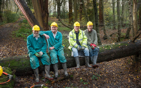 Mike, Bernard, John and John sat on a tree with hard hats on