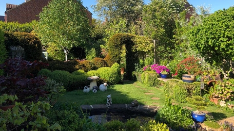 Wildlife gardening