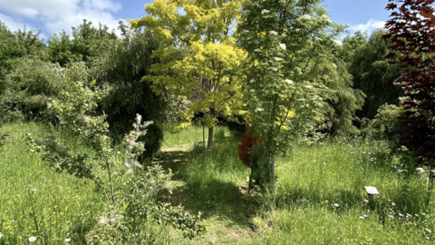 Muchwood green burials, Caroline Fitton
