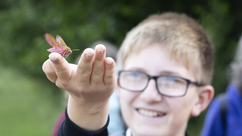 A boy with a smiling blurred face as he holds aloft an elephant hawkmoth on one finger