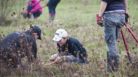 Family scrub clearing by Paul Harris/2020VISION