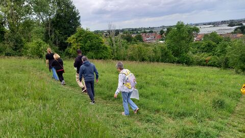 dallow downs 