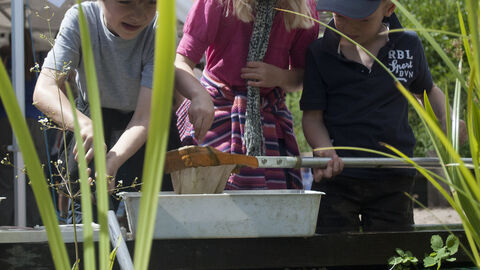Children pond dipping by Amy Lewis