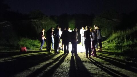 totternhoe creatures of the night