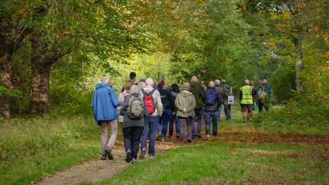 A group of members walking through a woodland trail