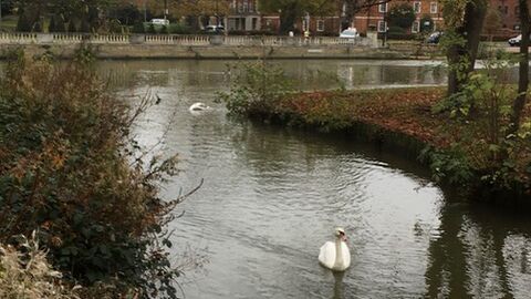 Bedford Embankment 