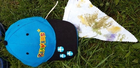 Beaver Scouts