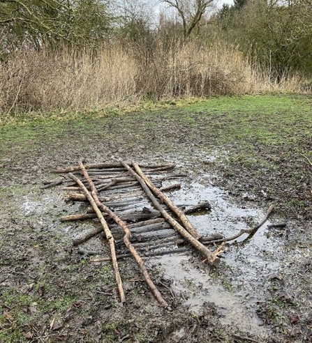 A log bridge built on a muddy floor