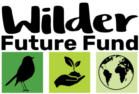 Wilder Future Fund Logo, 3 boxes, of differing shades of green, one with a bird silhouette inside, one the silhouette of a hand holding a seedling and the other a globe outline.