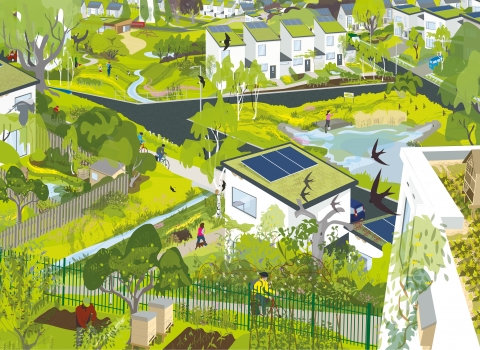 An illustration showing development alongside a wide range of green space and wildlife