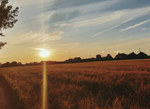 Sunset dry land TWT