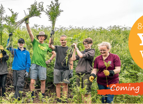 Youth Week 2025 Header